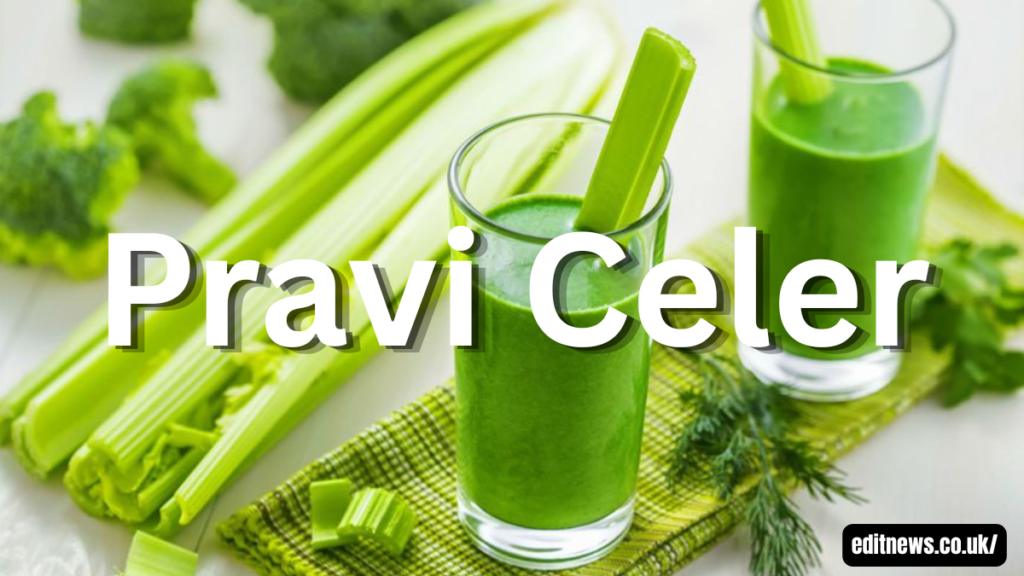Pravi Celer