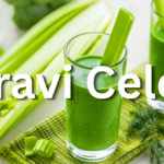 Pravi Celer